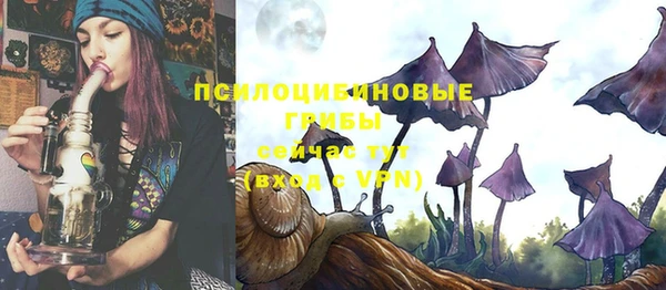 герыч Лагань